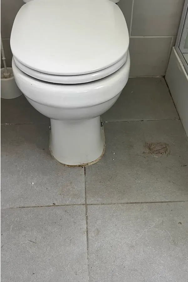 Sanitaires avant nettoyage