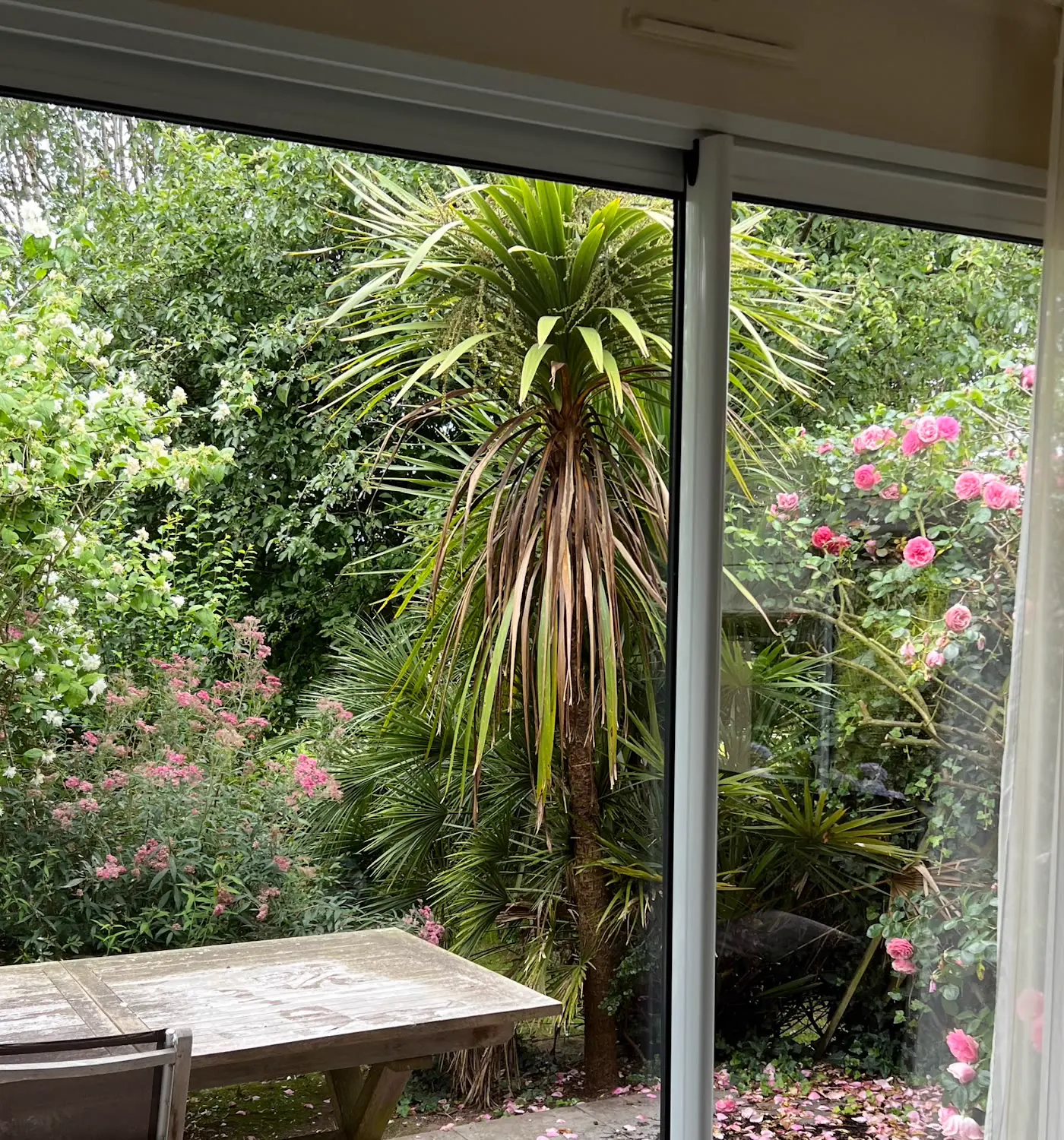 Baie vitrée coulissante propre donnant sur un jardin fleuri